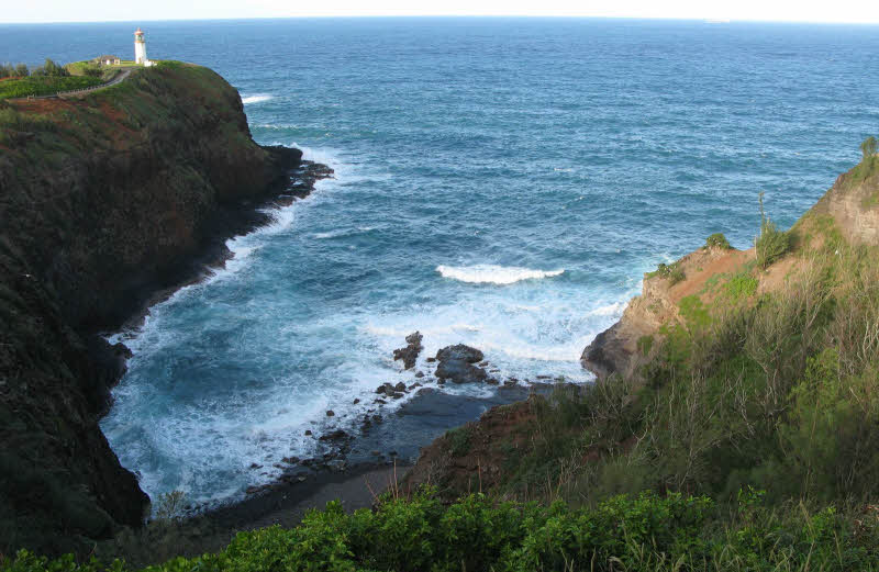 Hawaii is more than just beaches and families. There is a rugged side and a wild natural side along many coastlines. If you love birds and flowers and trees then you won't be let down. Even off the beaten track the vibe was always safe and actually it felt safer outside of the big city of Waikiki.