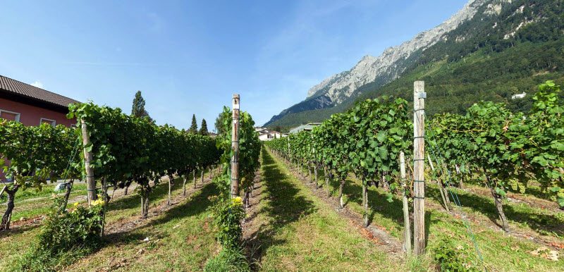 The clear air of Liechtenstein makes the countryside extra piquant! The vineyards on the slopes of the rocky mountains and the castles and palaces throughout this small country make it a super vacation spot.