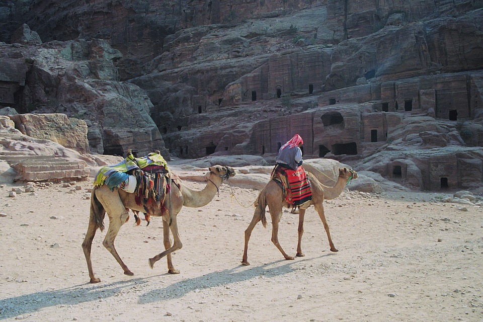 bedouin dromedaries petra the red the colorful siq jordan nabataeans holiday travel middle east canyon sand stone desert gorge indiana jones adventure world heritage unesco scan kb dia petra petra petra petra petra jordan jordan jordan desert adventure