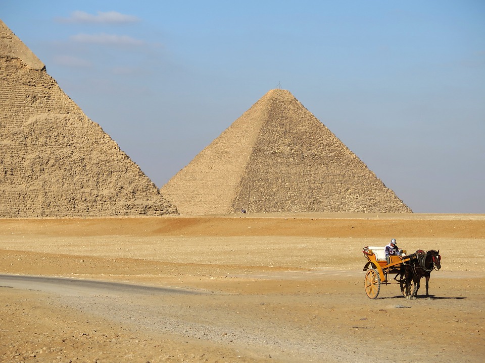 pyramid, desert, camel
