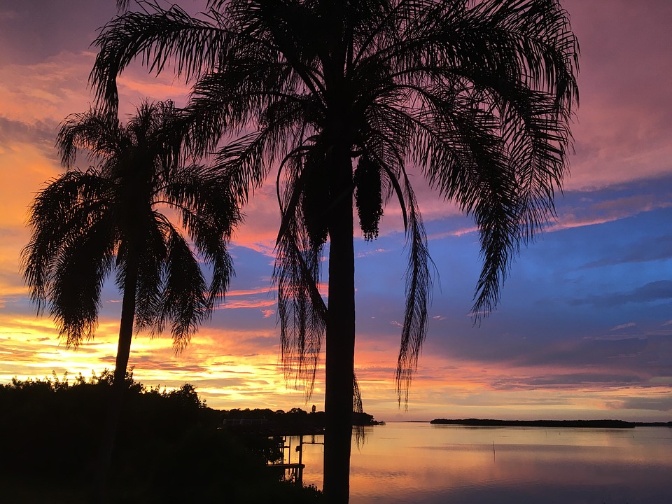 florida, vacation, sunset